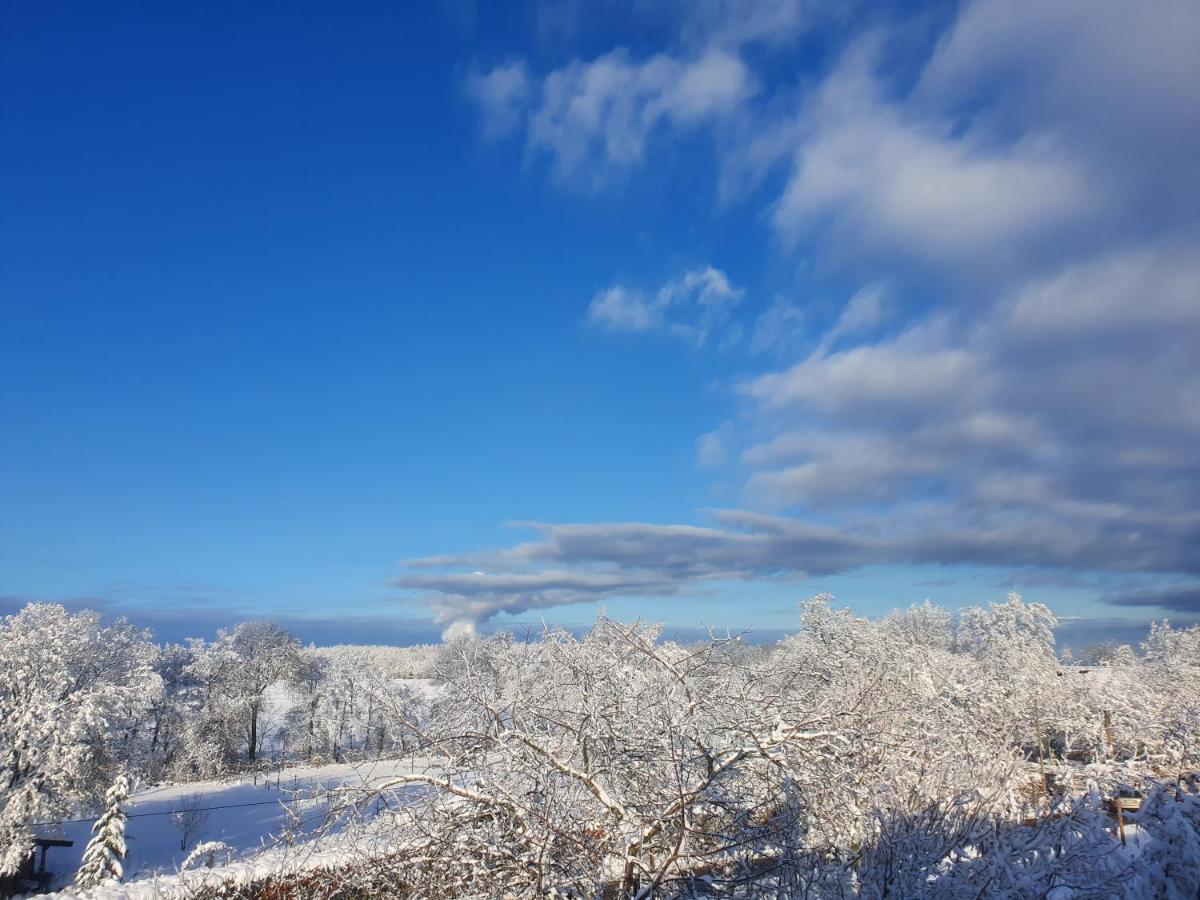 Energetischer Urlaub In Der Eifel Germeter Ngoại thất bức ảnh